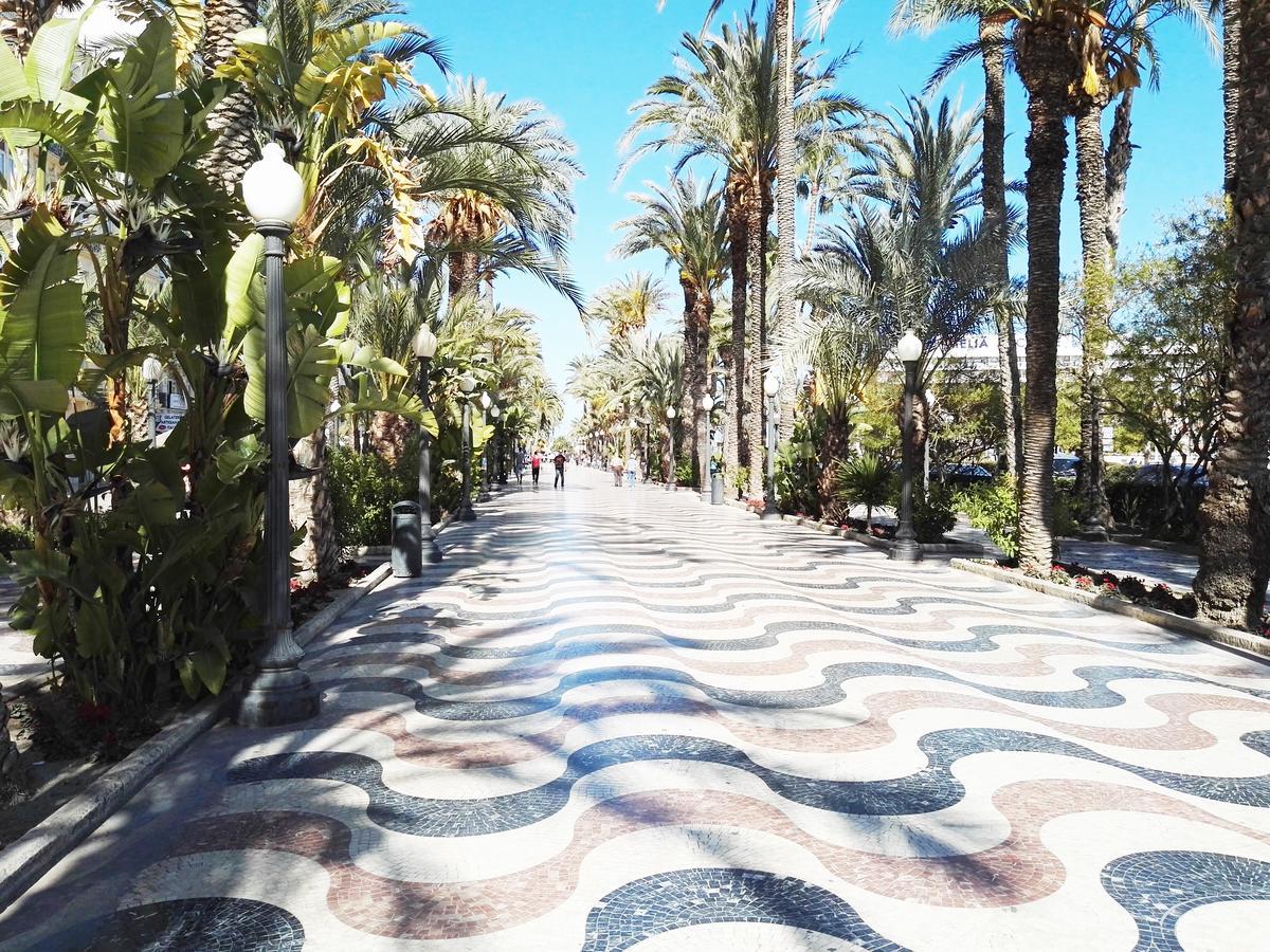 City Sea Views Apartment Alicante Dış mekan fotoğraf